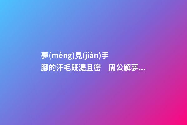 夢(mèng)見(jiàn)手腳的汗毛既濃且密　周公解夢(mèng)之夢(mèng)到手腳的汗毛既濃且密